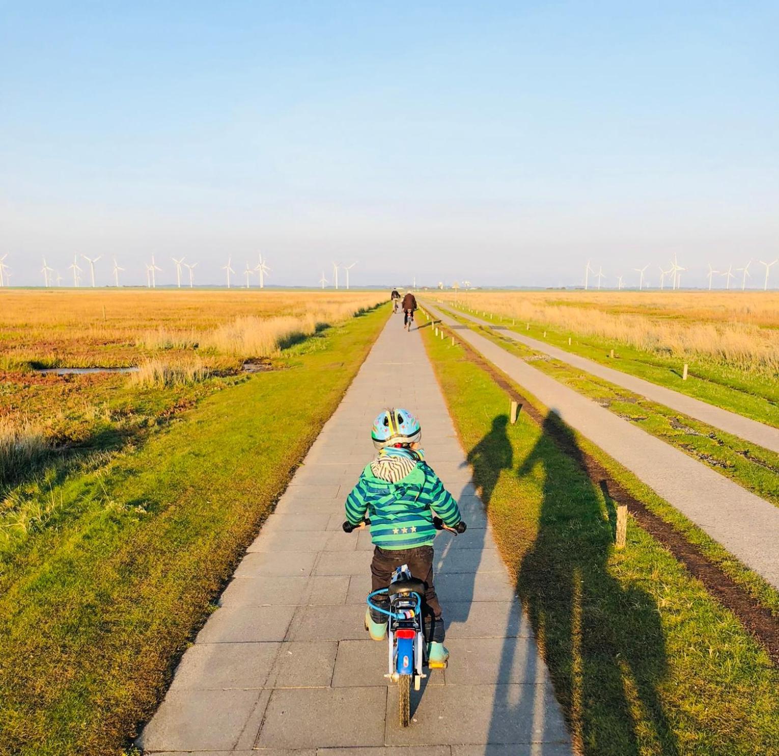 Nordsee Bauernhof Familie Wulff Fewo "Suedfall" Reußenköge Esterno foto