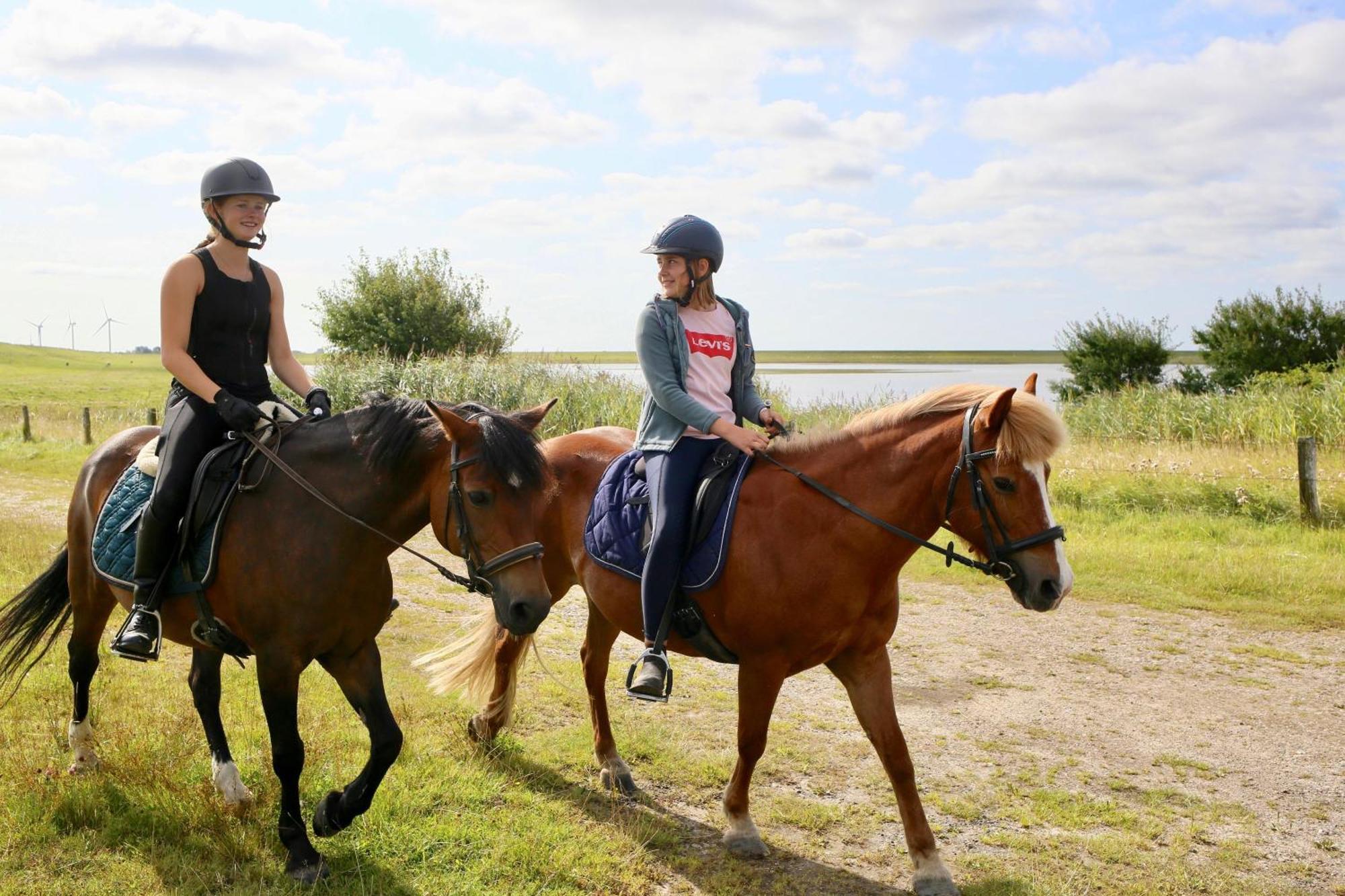 Nordsee Bauernhof Familie Wulff Fewo "Suedfall" Reußenköge Esterno foto